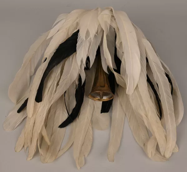 Prussian General Parade Federbush Visuel 1 principal